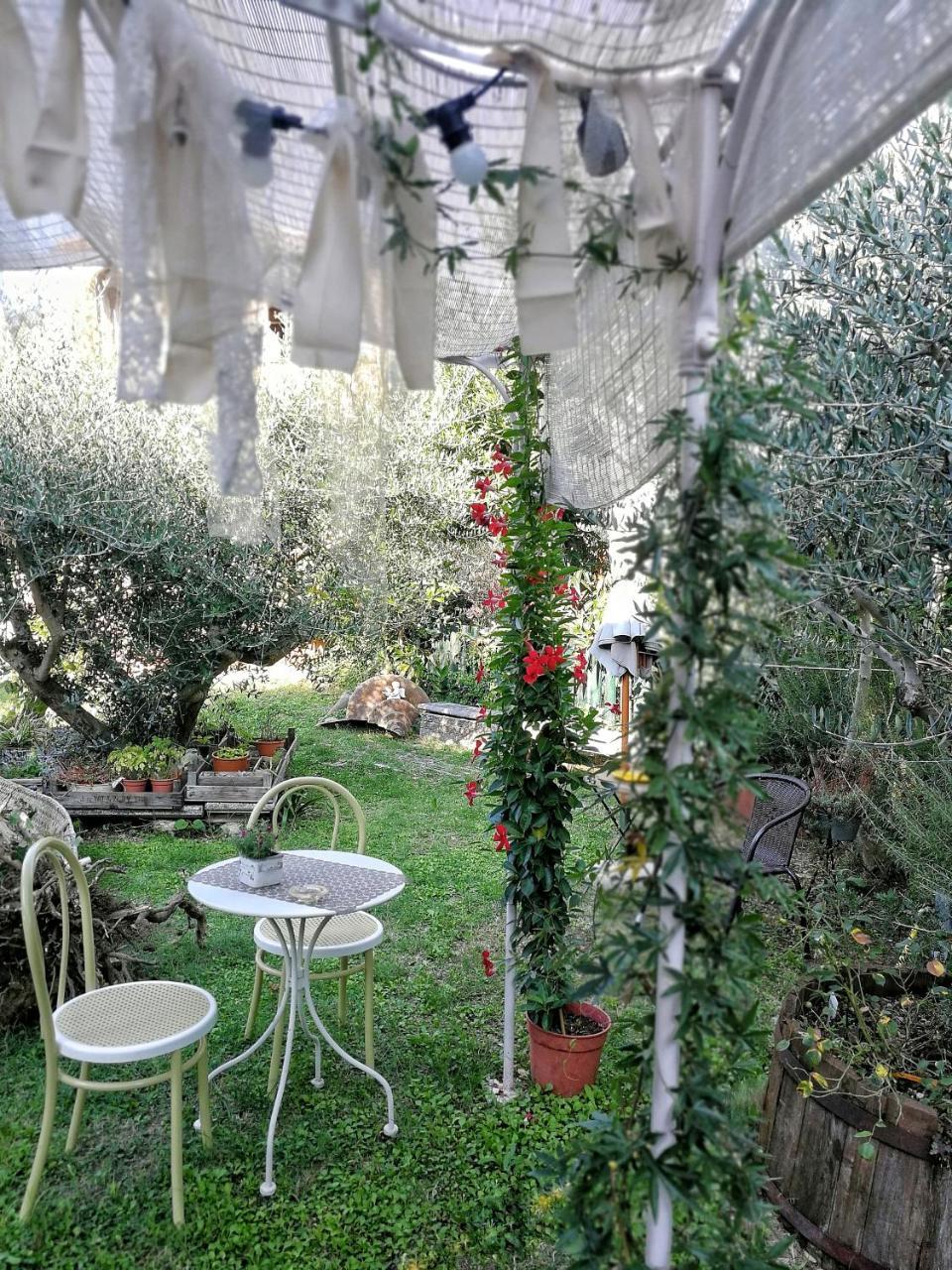 Il Giardino Dei Frati Bed & Breakfast Roncofreddo Dış mekan fotoğraf